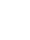micro-sim